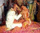 Gelin ve damat düğün veya evlenme Hindu geleneği izleyerek